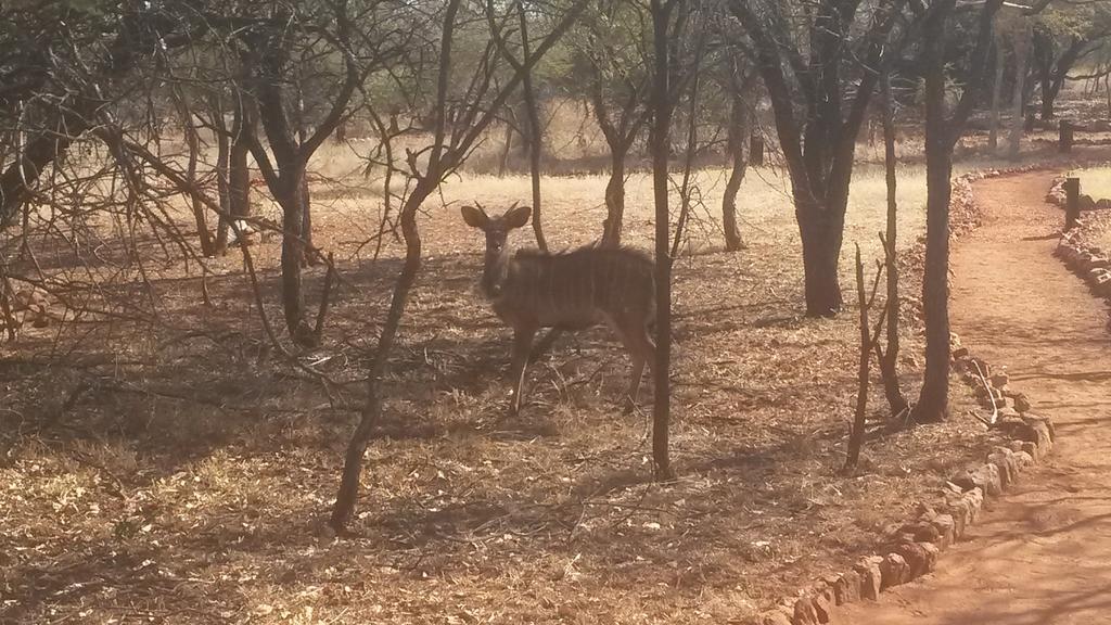 African Elegance Tented Lodge Boshoek Экстерьер фото